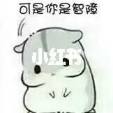  house baccarat pasta machine silver me】 ■ Jo Jung-rae, Lee Mun-se, Cha In-pyo… Saya mendukung pemogokan MBC